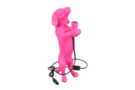 Teckellamp neon roze