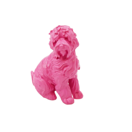 Labradoodle S