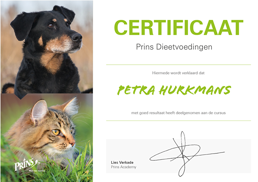 Voedingsadvies  Texel allergie intolerant hond  Texelse dierenwinkel Voedingsdeskundige