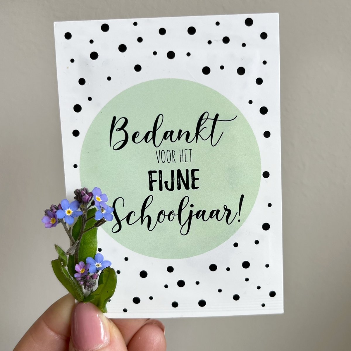 Zakje bloemzaadjes vergeet-me-nietjes 'Bedankt voor het fijne schooljaar!'
