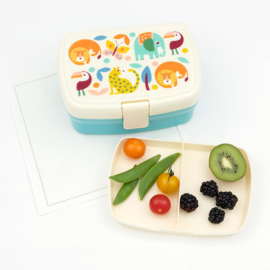 Brooddoos / lunchbox met vakjes 'wild wonders'