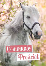 Communie- en lentefeest