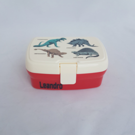 Brooddoos / lunchbox met vakjes dinosaurus