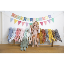 Knuffel konijn 'Richie Rabbit' groen (met of zonder naam)