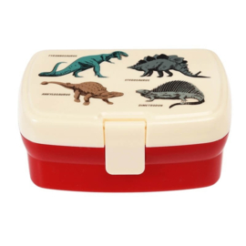 Brooddoos / lunchbox met vakjes dinosaurus (met of zonder naam)