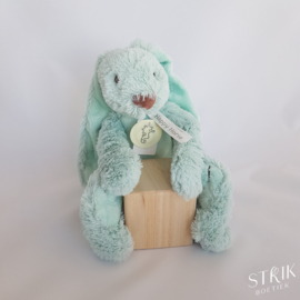 Knuffel konijn 'Richie Rabbit' mint (met of zonder naam)