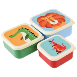 Snackboxen / snackdoosjes set 'Vrolijke dieren'