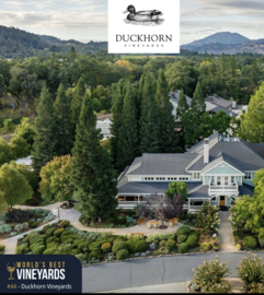 Duckhorn Vineyards Postmark Cabernet Sauvignon 2021