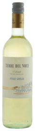 Terre del Noce Pinot Grigio 2023