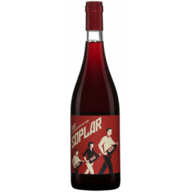 BIO-DEM Moraza Soplar Tinto 2023