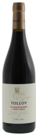 Tolloy Pinot Nero 2022