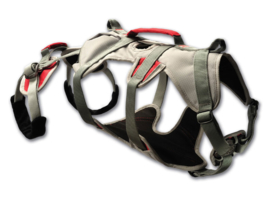 Doubleback harness