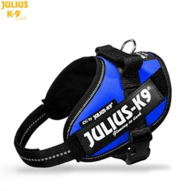 Julius K9 IDC powerharness mini mini