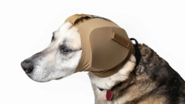 Rex specs earpro