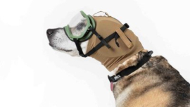 Rex specs earpro