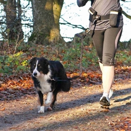 Trixie heupriem met jogginglijn