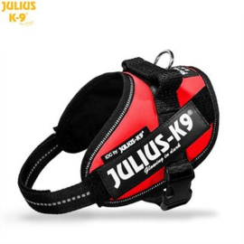 Julius K9 IDC powerharness mini