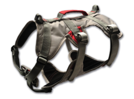 Doubleback harness