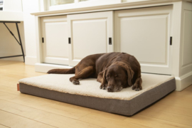 Beeztees memory foam Zira – Hondenkussen – beige – 100x70x9cm