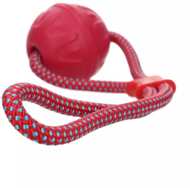 Vortex Loop