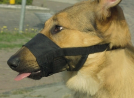 Nylon muzzle adjustable