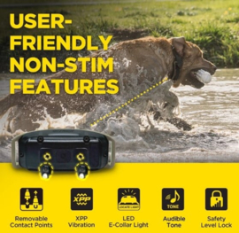 Dogtra 1200X