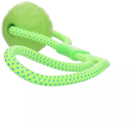 Vortex Loop