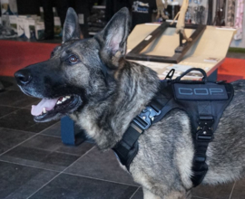 K9 evo Pro Harness COP serie maat M HELAAS MOMENTEEL NIET OP VOORRAAD