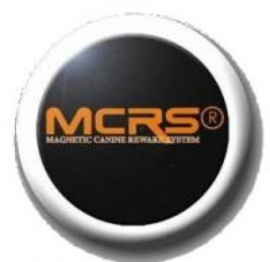 MCRS magnet