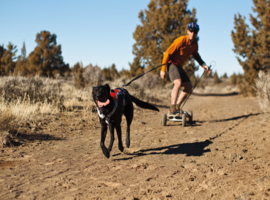 Omnijore Joring System