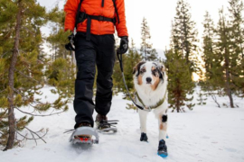 Ruffwear Polar Trex set 4