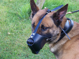 Leather muzzles