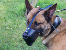 Leather muzzle with quick release