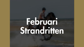 Februari 2026