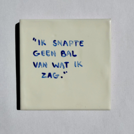 Tegel: "Ik snapte geen bal van wat ik zag."
