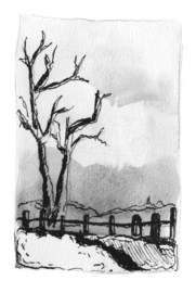 Mini-tekening: Arbre