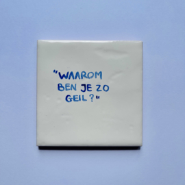 Tegel: "Waarom ben je zo geil?"