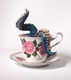Octopus in kopje (A)