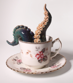 Octopus in kopje (E)