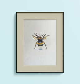 Tekening: Hommel