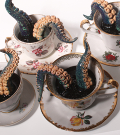 Octopus in kopje (F)