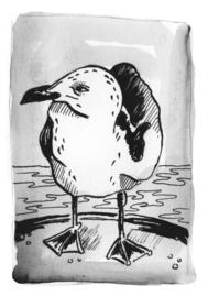 Mini-tekening: Mouette