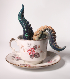 Octopus in kopje