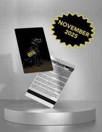Kunstkaart: November 2025