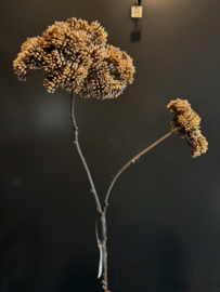 Artificial flower brown 70cm