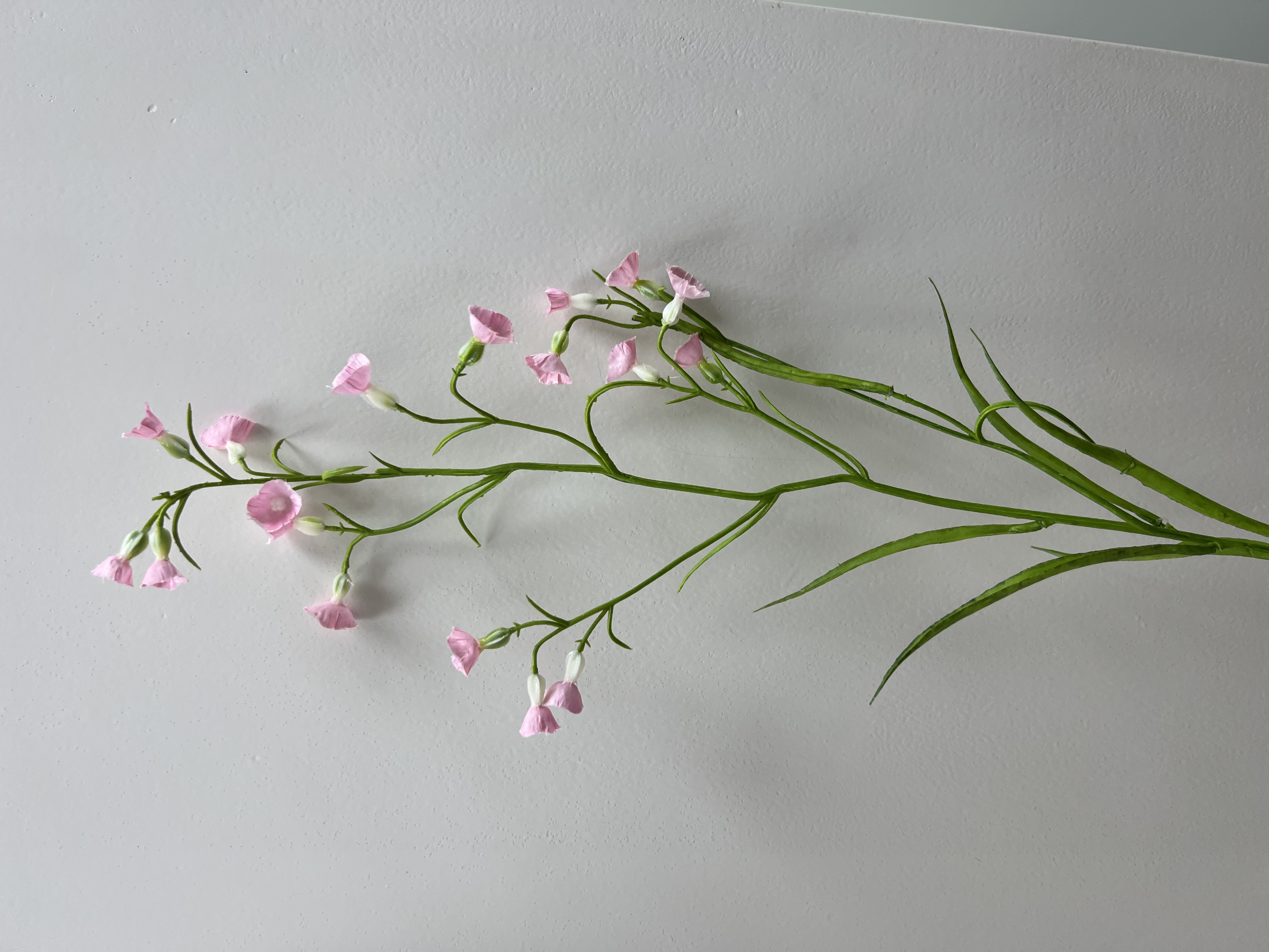 Flower Mini Nicotiana 75cm Pink