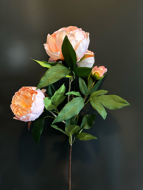 Pioenroos Roze 70cm