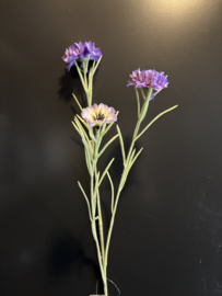 Centaurea spray purple 68cm 22017-6