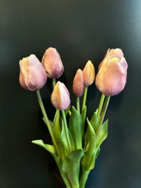 Tulp Old Pink 45cm