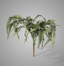 Eucalyptus Bush Carved 35 cm XHL9080